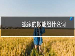搬家的搬能组什么词