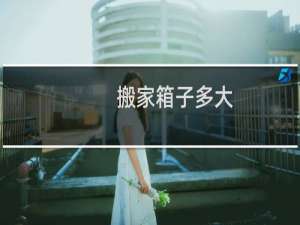 搬家箱子多大