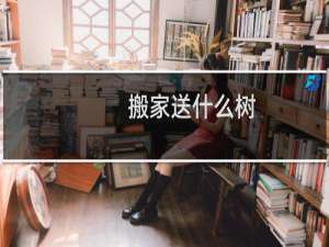 搬家送什么树