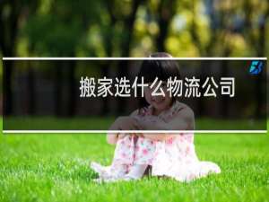 搬家选什么物流公司