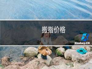 搬指价格