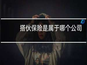搭伙保险是属于哪个公司