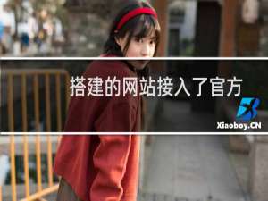 搭建的网站接入了官方支付接口但是回调有问题 ！会掉单！！很严