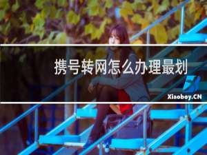 携号转网怎么办理最划算（携号转网怎么办理）