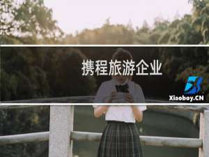 携程旅游企业