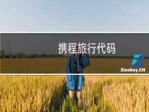 携程旅行代码