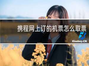携程网上订的机票怎么取票