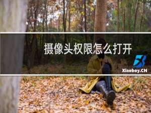摄像头权限怎么打开