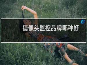 摄像头监控品牌哪种好