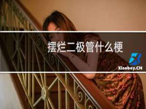 摆烂二极管什么梗？什么梗