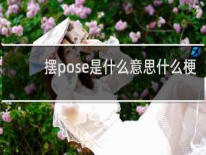 摆pose是什么意思什么梗