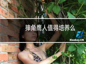 摔角鹰人值得培养么