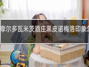 摩尔多瓦米茨酒庄黑皮诺梅洛印象怎么样