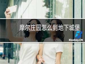 摩尔庄园怎么到地下城堡