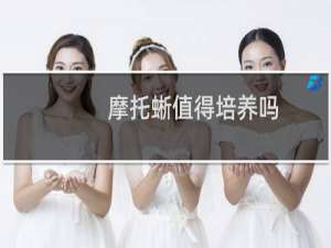 摩托蜥值得培养吗
