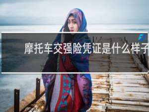 摩托车交强险凭证是什么样子