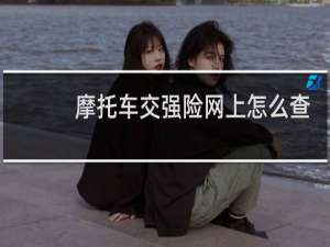 摩托车交强险网上怎么查