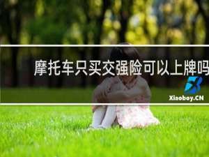摩托车只买交强险可以上牌吗