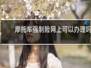 摩托车强制险网上可以办理吗