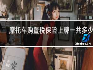 摩托车购置税保险上牌一共多少钱