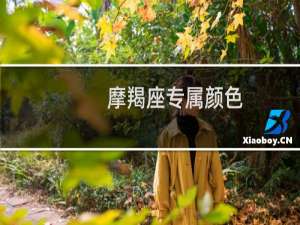摩羯座专属颜色