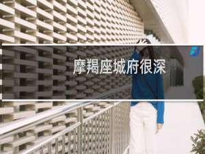 摩羯座城府很深