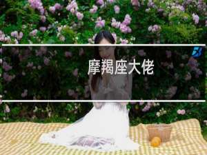 摩羯座大佬