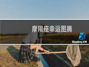 摩羯座幸运图腾