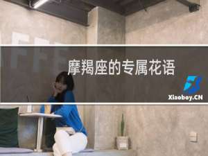 摩羯座的专属花语