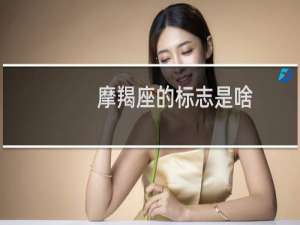 摩羯座的标志是啥