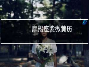 摩羯座紫微黄历