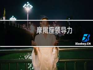 摩羯座领导力