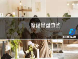 摩羯星盘查询