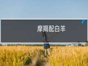 摩羯配白羊