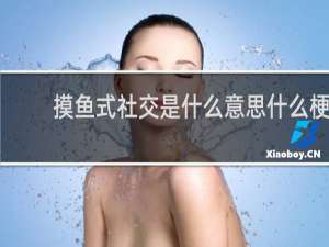 摸鱼式社交是什么意思什么梗