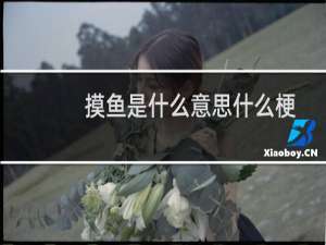 摸鱼是什么意思什么梗