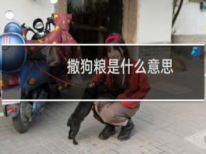 撒狗粮是什么意思