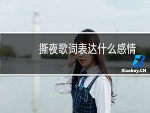 撕夜歌词表达什么感情