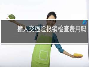 撞人交强险报销检查费用吗