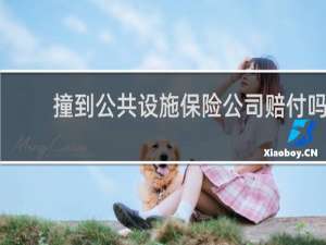 撞到公共设施保险公司赔付吗