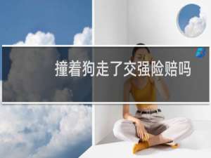 撞着狗走了交强险赔吗