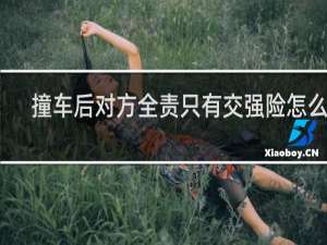 撞车后对方全责只有交强险怎么办