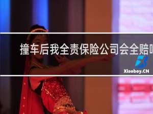 撞车后我全责保险公司会全赔吗