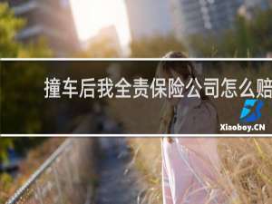撞车后我全责保险公司怎么赔