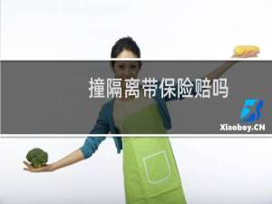 撞隔离带保险赔吗