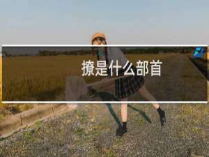 撩是什么部首（“撩”是什么意思）