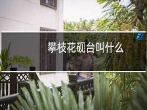 攀枝花砚台叫什么