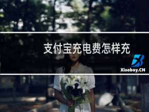 支付宝充电费怎样充