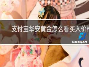 支付宝华安黄金怎么看买入价格