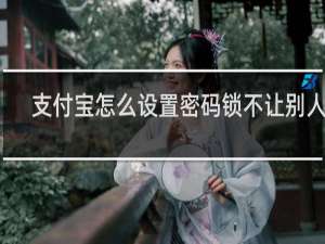 支付宝怎么设置密码锁不让别人看